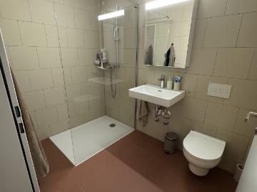 Rent a 3 ½ rooms apartment in Bramois Flatfox