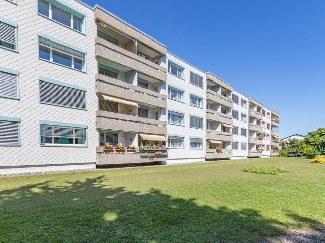 Rent a 3 ½ rooms apartment in Buchs AG Flatfox