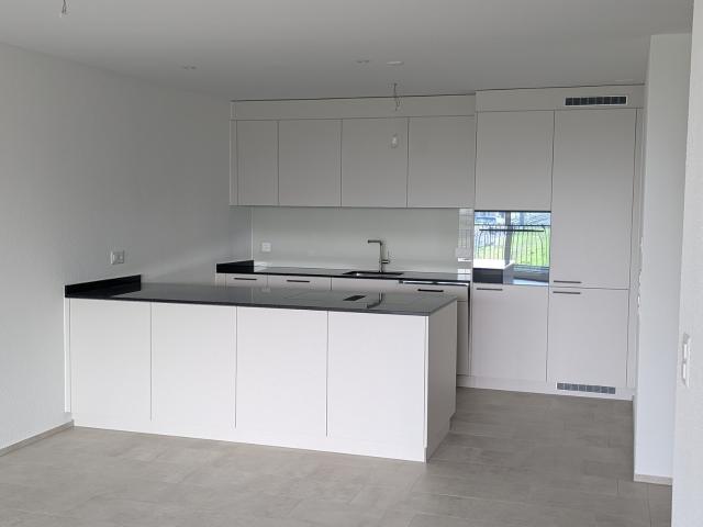 Rent a 3 ½ rooms apartment in Buchs Flatfox