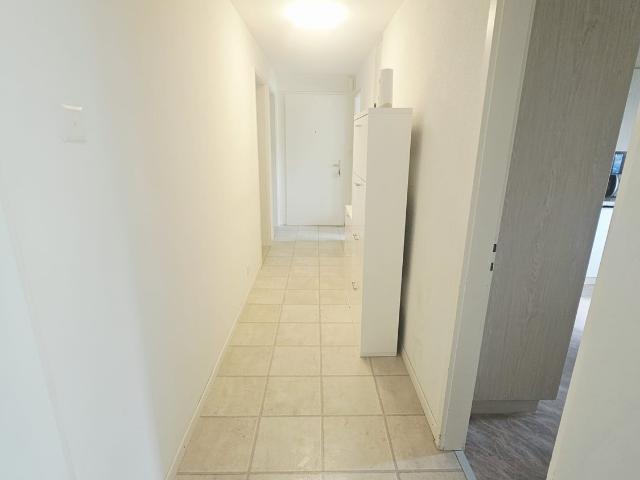 Rent a 3 ½ rooms apartment in Buchs Flatfox