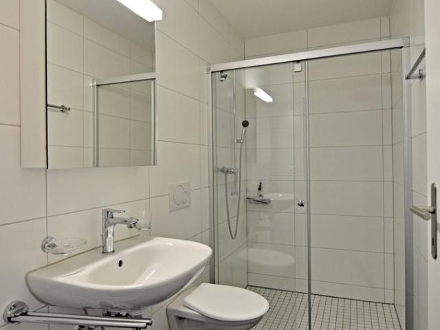 Rent a 3 ½ rooms apartment in Buchs ZH Flatfox