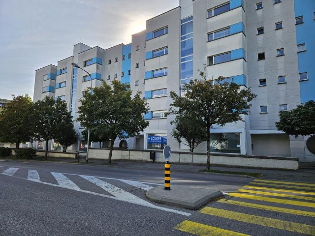 Rent a 3 ½ rooms apartment in Bulle Flatfox