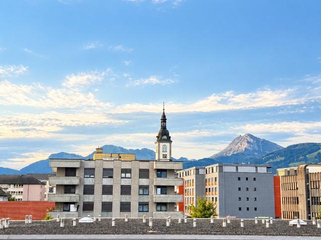 Rent a 3 ½ rooms apartment in Bulle Flatfox