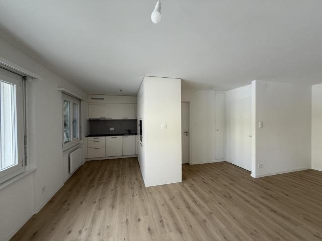Rent a 3 ½ rooms apartment in Bulle Flatfox