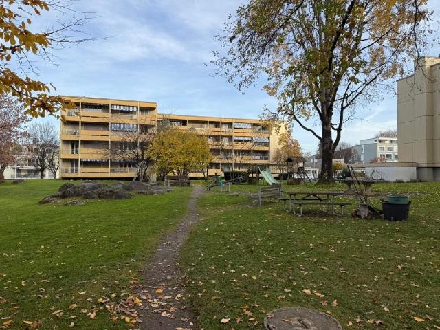 Rent a 3 ½ rooms apartment in Goldach Flatfox