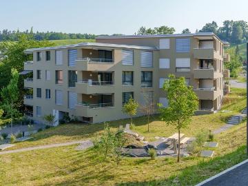 Rent a 3 ½ rooms apartment in Gossau ZH Flatfox
