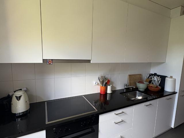 Rent a 3 ½ rooms apartment in Geneva Flatfox