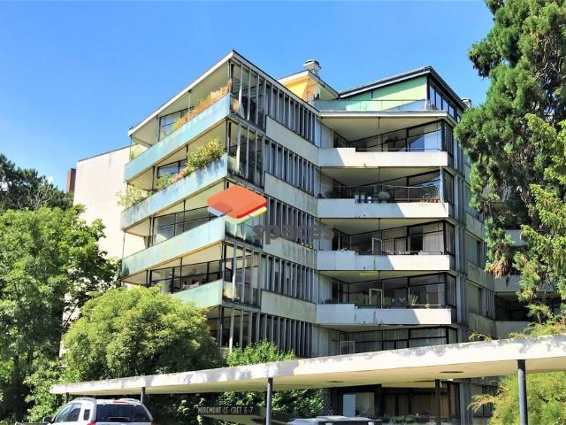 Rent a 3 rooms apartment in Genève Flatfox