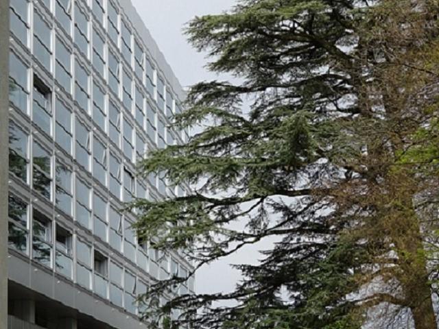 Rent a 3 rooms apartment in Genève Flatfox