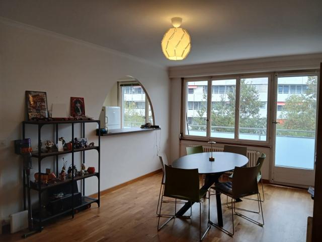 Rent a 3 ½ rooms apartment in Genève Flatfox