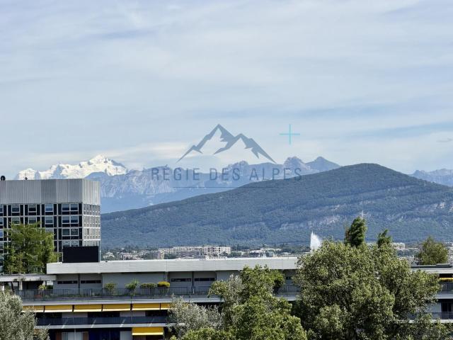 Rent a 3 rooms apartment in Genève Flatfox