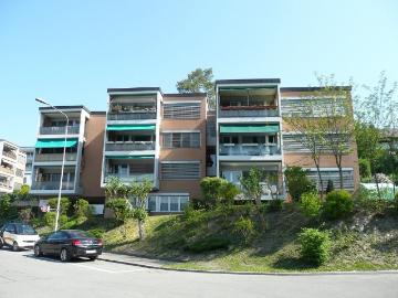 Rent a 3 ½ rooms apartment in Geroldswil Flatfox