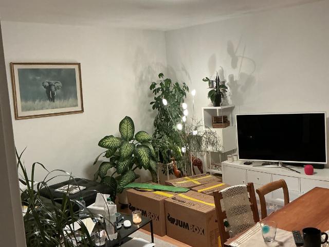 Rent a 3 rooms apartment in Glattbrugg Flatfox