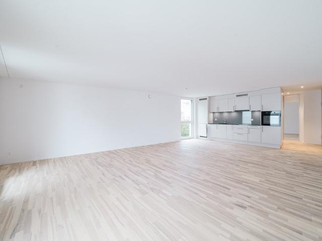 Rent a 3 ½ rooms apartment in Grenchen Flatfox