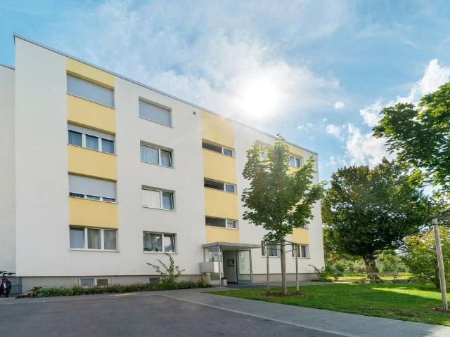 Rent a 3 rooms apartment in Grenchen Flatfox
