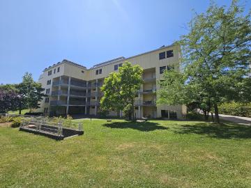Rent a 3 ½ rooms apartment in Grenchen Flatfox