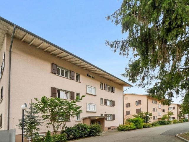 Rent a 3 ½ rooms apartment in Grenchen Flatfox