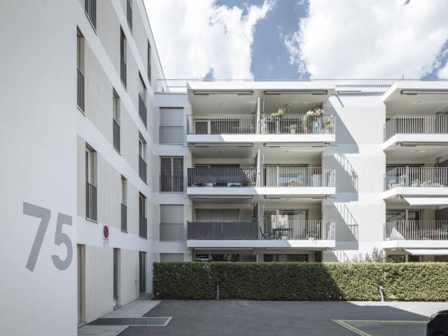 Rent a 3 ½ rooms apartment in Grenchen Flatfox