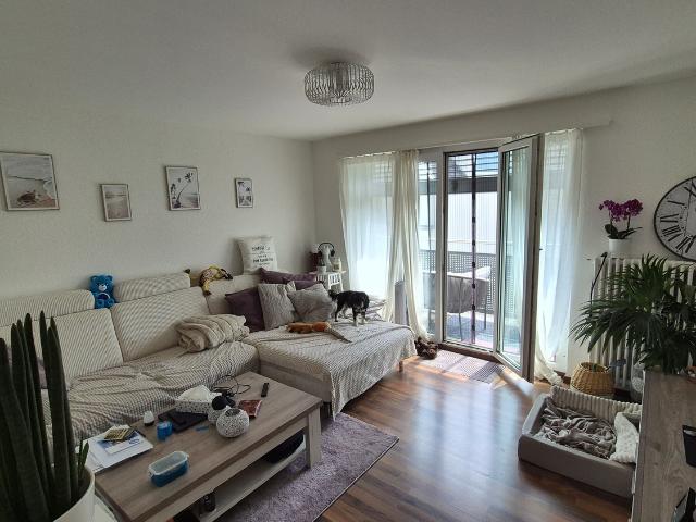 Rent a 3 ½ rooms apartment in Gretzenbach Flatfox