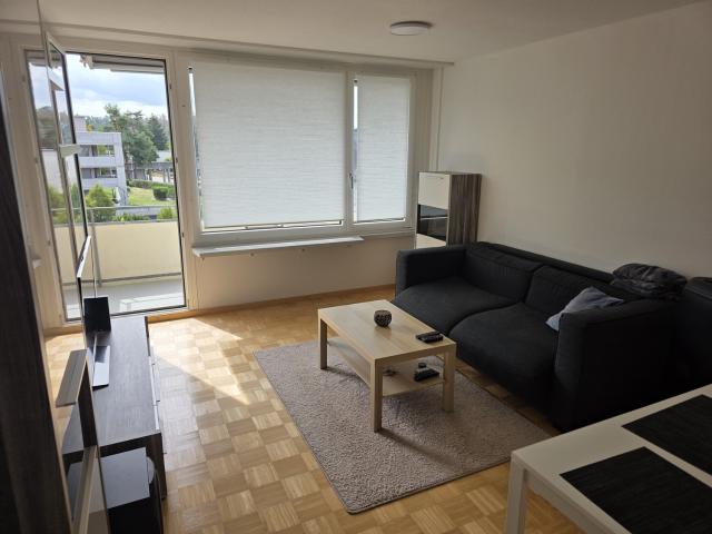 Rent a 3 rooms apartment in Döttingen Flatfox