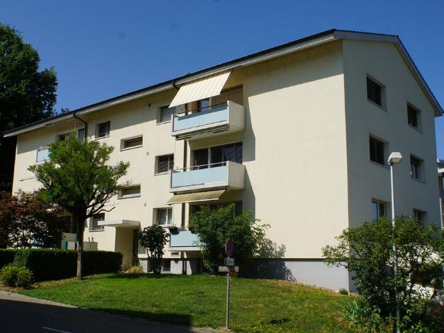 Rent a 3 rooms apartment in Dornach Flatfox