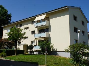 Rent a 3 rooms apartment in Dornach Flatfox