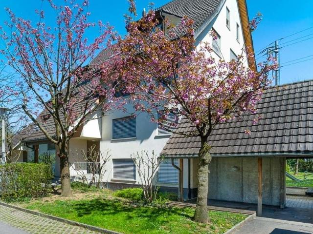 Rent a 3 ½ rooms apartment in Dornach Flatfox