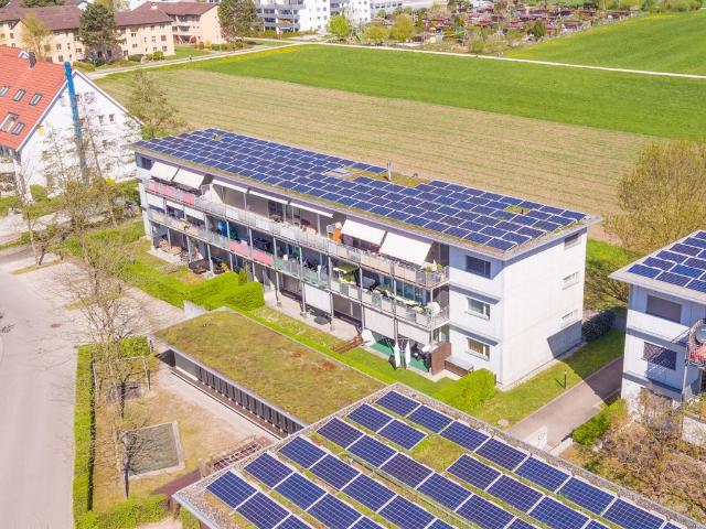 Rent a 3 rooms apartment in Dällikon Flatfox