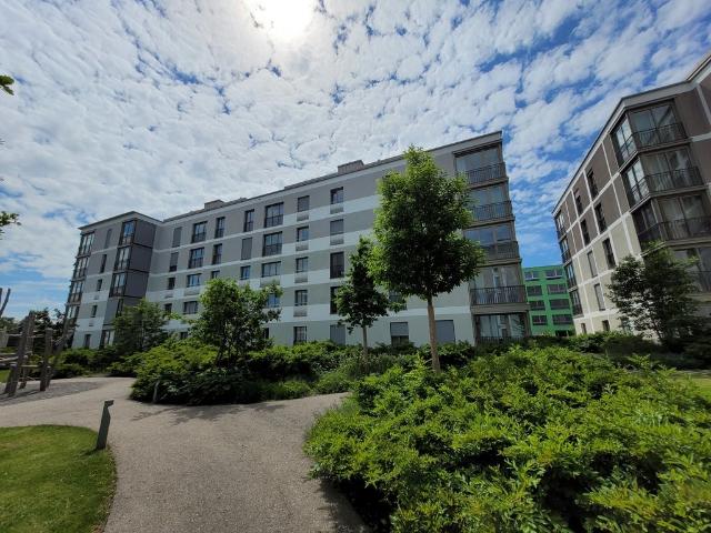 Rent a 3 ½ rooms apartment in Dietikon Flatfox