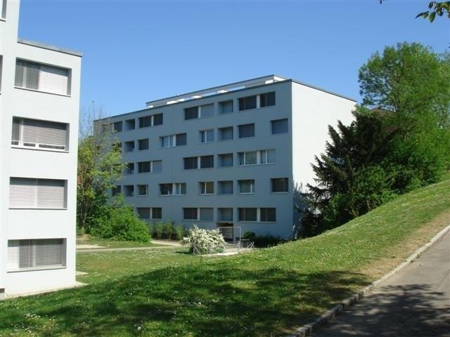 Rent a 3 rooms apartment in Dietikon Flatfox