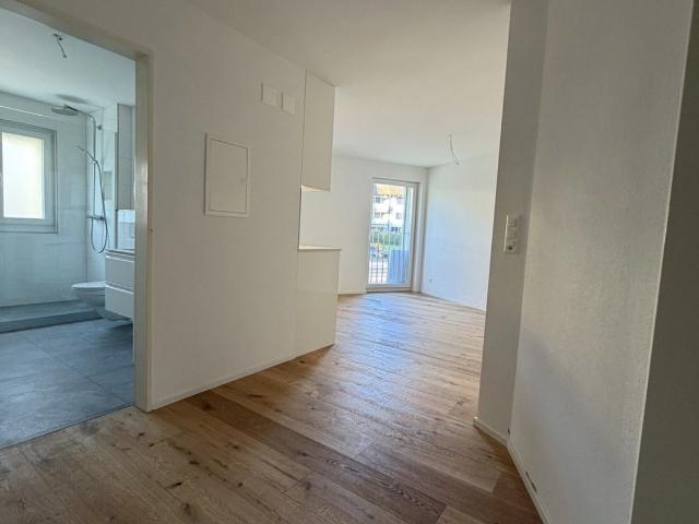 Rent a 3 ½ rooms apartment in Dietikon Flatfox