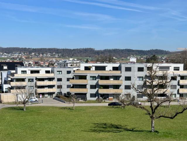 Rent a 3 ½ rooms apartment in Dietlikon Flatfox
