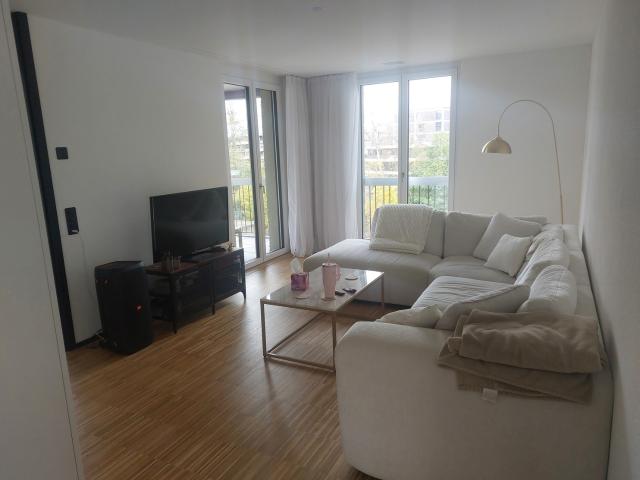 Rent a 3 ½ rooms apartment in Dubendorf Flatfox