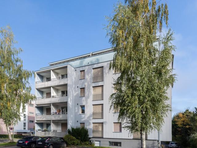 Rent a 3 ½ rooms apartment in Dulliken Flatfox
