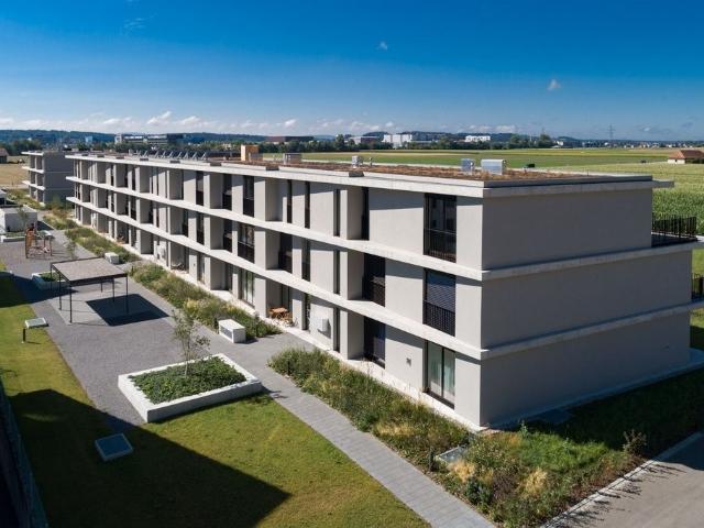 Rent a 3 ½ rooms apartment in Egerkingen Flatfox