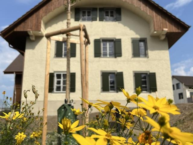 Rent a 3 ½ rooms apartment in Egliswil Flatfox