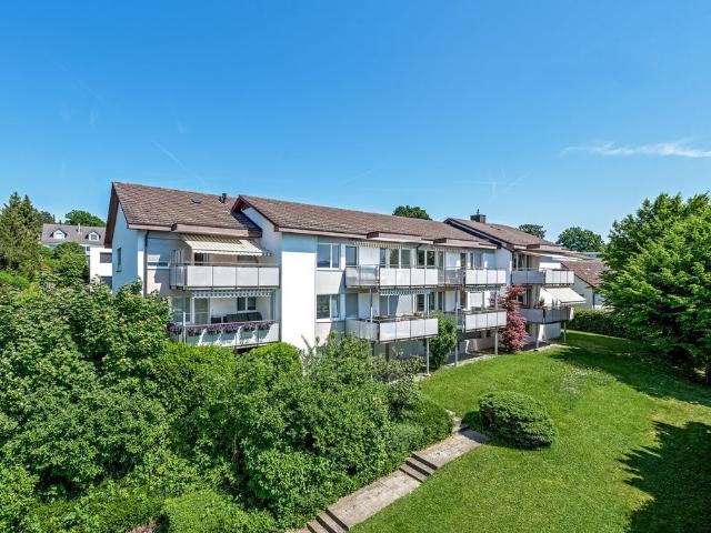 Rent a 3 rooms apartment in Erlenbach ZH Flatfox