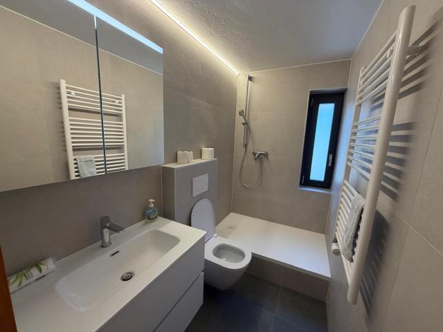Rent a 3 ½ rooms apartment in Evolène Flatfox