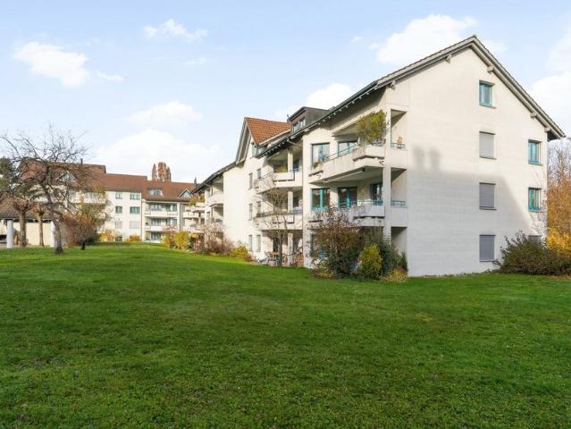 Rent a 3 rooms apartment in Frauenfeld Flatfox