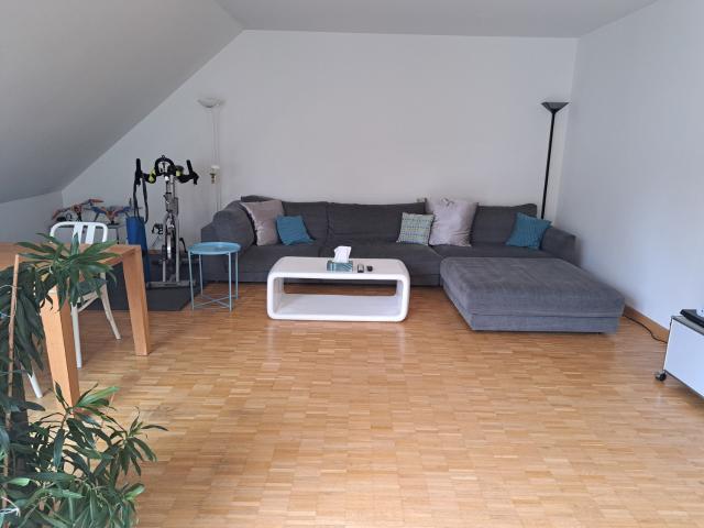 Rent a 3 ½ rooms apartment in Frick Flatfox