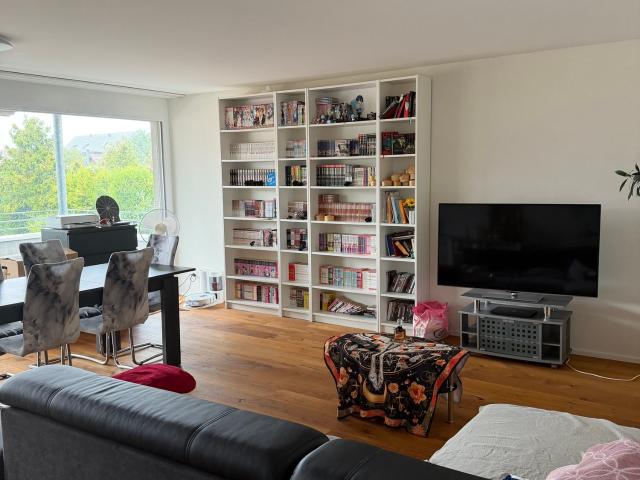 Rent a 3 ½ rooms apartment in Kappel Flatfox