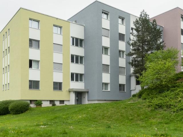 Rent a 3 ½ rooms apartment in Horgen Flatfox