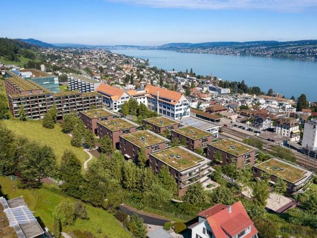 Rent a 3 ½ rooms apartment in Horgen Flatfox