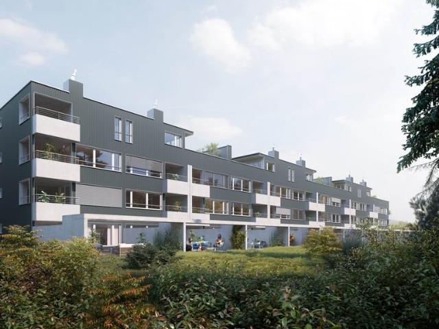 Rent a 3 ½ rooms apartment in Horgen Flatfox
