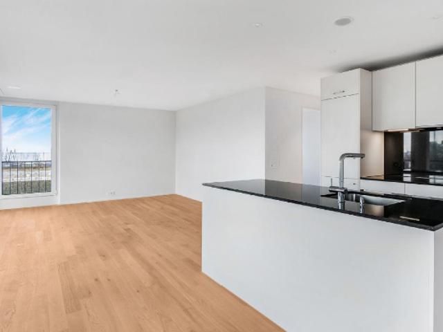 Rent a 3 ½ rooms apartment in Horn Flatfox