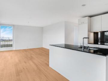 Rent a 3 ½ rooms apartment in Horn Flatfox