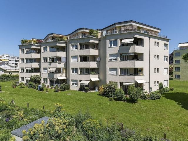 Rent a 3 ½ rooms apartment in Horn Flatfox