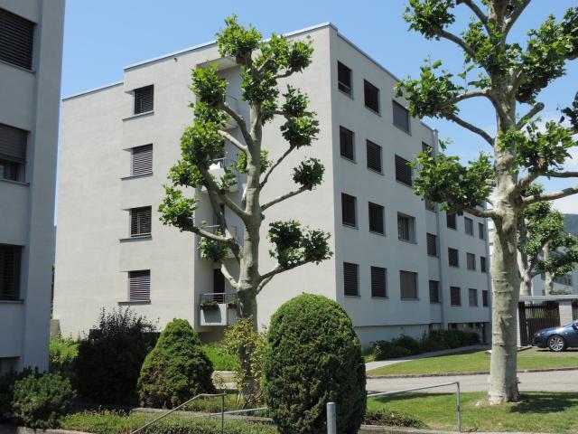Rent a 3 ½ rooms apartment in Hägendorf Flatfox