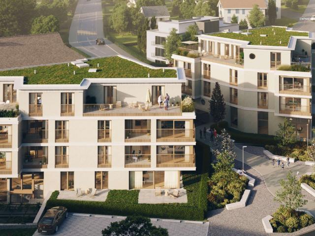Rent a 3 ½ rooms apartment in Hedingen Flatfox