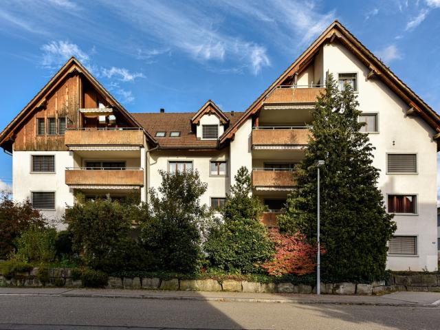 Rent a 3 ½ rooms apartment in Hedingen Flatfox